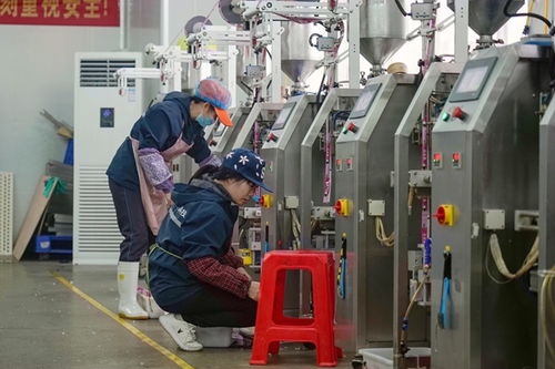 港北區打造高品質寵物飼料，擦亮農業產業品牌